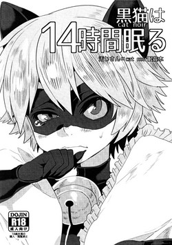 Download Cat Noir wa 14-jikan Nemuru