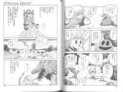 Page 31 of Princess Quest Saga