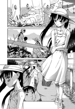 Page 20 of Kuwagata - The Stag Beetle