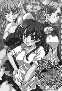 Page 3 of Maru wan Kashikomari!