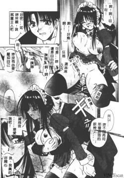 Page 26 of Palladium Garden