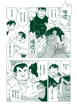Page 13 of NGC Satogaeri | 归乡