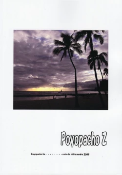 Page 2 of Poyopacho Z