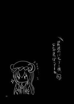 Page 13 of Cum Patche