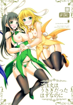 Page 27 of Gochuumon wa Usagi datta hazunanoni - Even though the order should have been a rabbit.