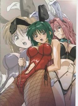 Page 17 of Amano Youki Gengashuu