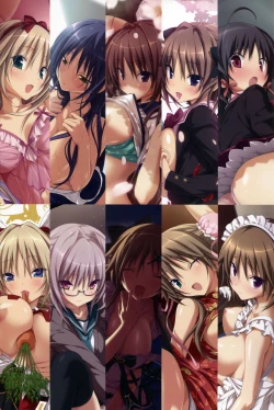 Page 17 of HAPY x NOS