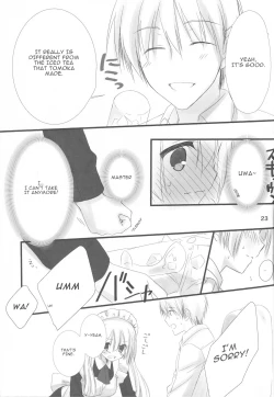 Page 22 of Maid-san no Hon