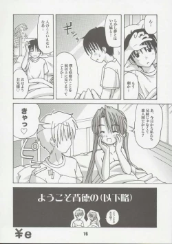 Page 15 of Sis-Con 2