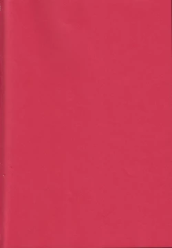 Page 27 of Magical Zundoko Fire