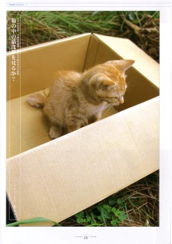 Page 120 of Suigetsu Visual Fan Book