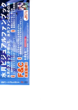 Page 4 of Suigetsu Visual Fan Book