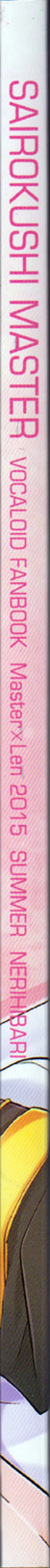 Page 2 of Sairokushi Master