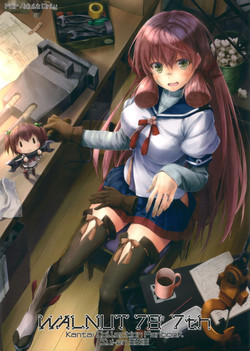 Download WALNUT78 7th