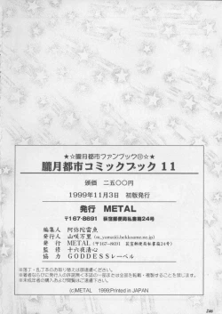 Page 248 of Misty Moon Metropolis XI