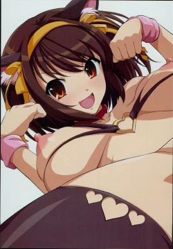 Page 20 of HARUCOS++