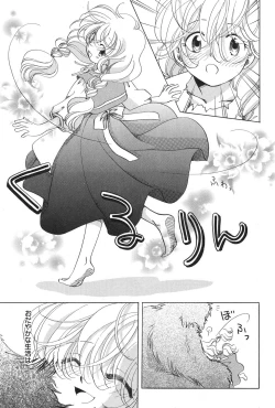 Page 12 of PetaFeti. 16