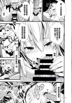 Page 14 of Chincolle