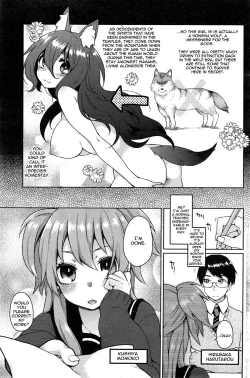Page 3 of Ookami4