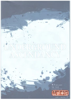 Page 16 of UNDERGROUND ASCENDANCY