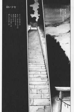 Page 211 of Hachigatsu no Usagi remix