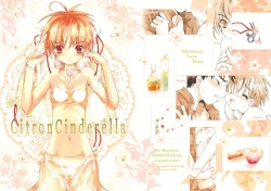 Page 1 of Citron Cinderella