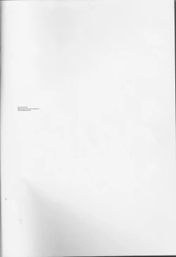 Page 2 of Aru Hi Totsuzen Nii-san Futari ga Hanryuu ni!!