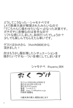 Page 17 of ODEKOBLUEBIRD II