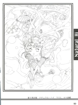 Page 49 of Essentia Side 4.0