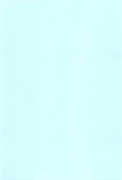 Page 4 of FetiColle VOL. 02