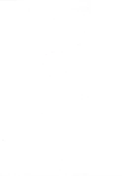 Page 207 of Syojo Furachi