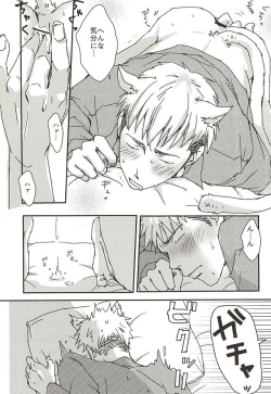 Page 4 of Nyan Kirkun no Hon