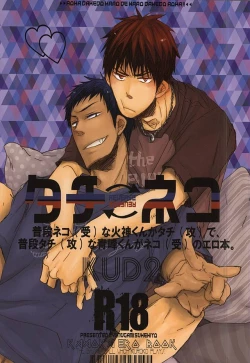 Page 1 of Tachi Neko