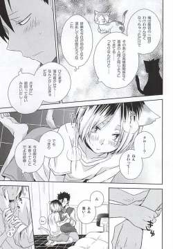 Page 28 of Neko Otoko Ichizoku no Koubi Report