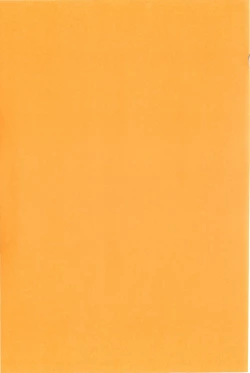 Page 207 of Cheerism