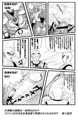 Page 12 of Pokochin Ball H 3: Cell vs C18