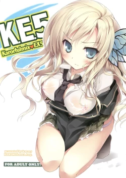 Page 1 of Karorfulmix EX5