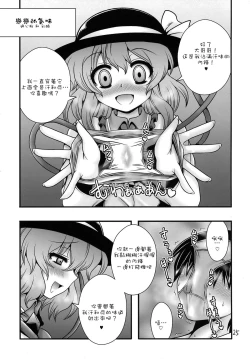 Page 25 of Touhou Mureiden