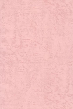 Page 2 of GUNK Kaiteiban