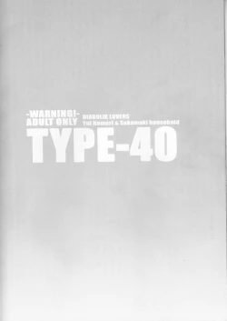Page 22 of TYPE-40