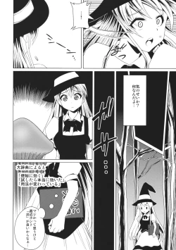Page 21 of Touhou Koushokuen