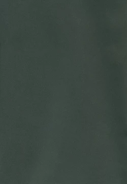 Page 3 of Kanashimi no Kawa o Yorokobi no Oka o