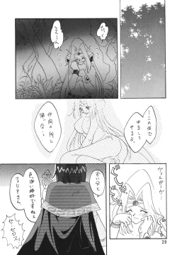 Page 29 of SLAYERS ADULT 3