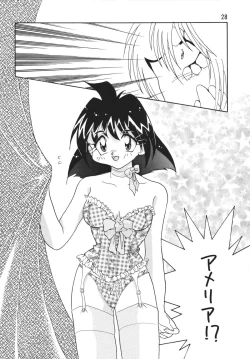 Page 28 of SLAYERS ADULT 4