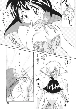 Page 29 of SLAYERS ADULT 4