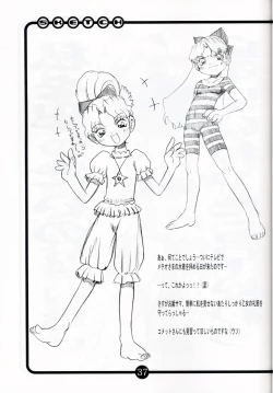 Page 36 of OVACAS SKETCH 3