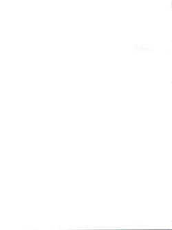 Page 41 of Special Kimigabuchi 2000-nen Summer Prototype