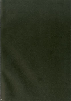 Page 3 of Usa Work vol. 03