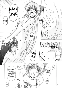 Page 14 of Kaminaki Tsukiyo no Gensoukyoku