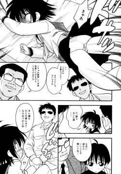 Page 41 of Meconopsis